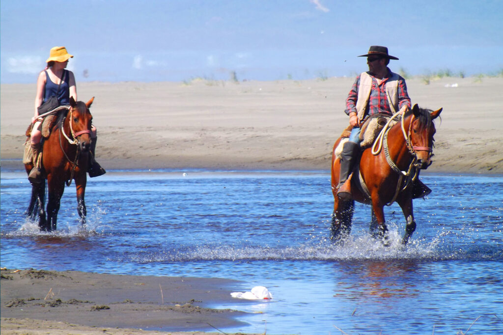 Horseback Riding in Chiloé National Park