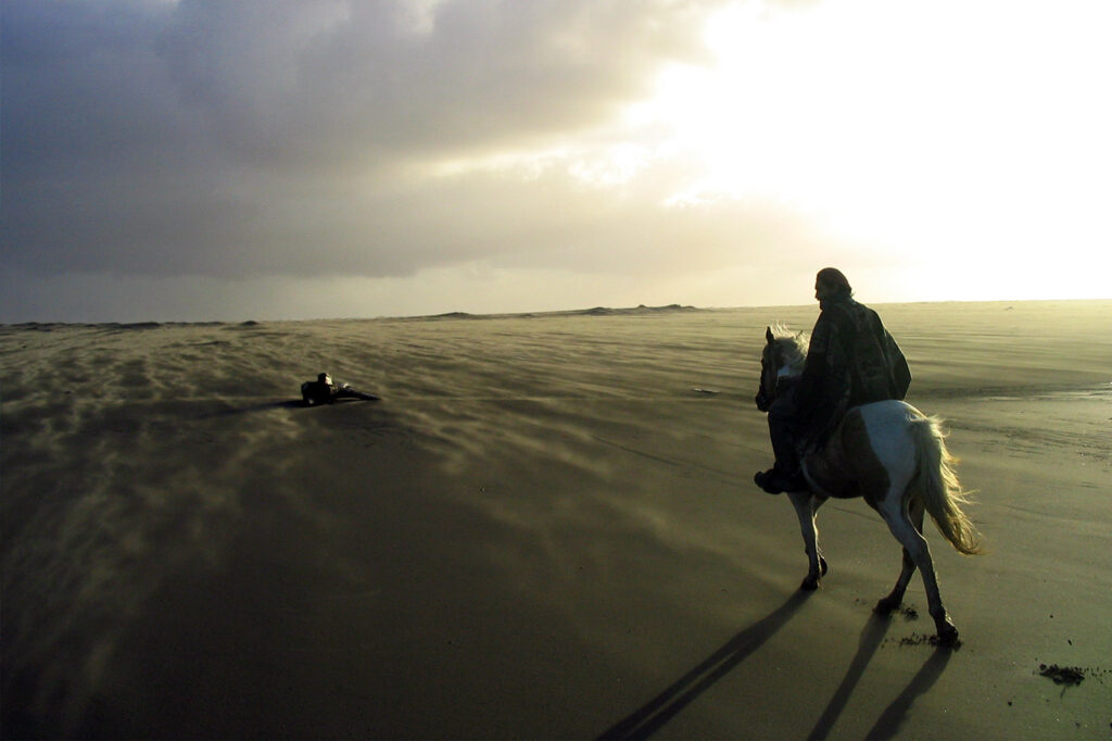 Horseback Riding in Chiloé National Park