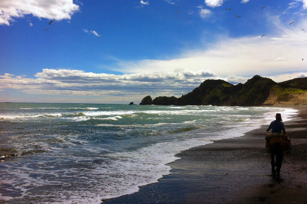 Horseback Riding in Chiloé National Park