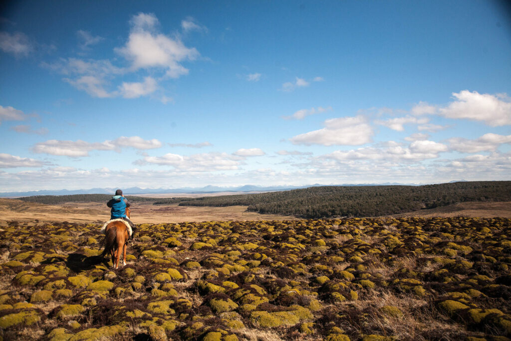 Horseback Riding Tours in Chilean Patagonia