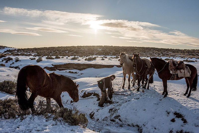 Horseback Riding Tours in Chilean Patagonia