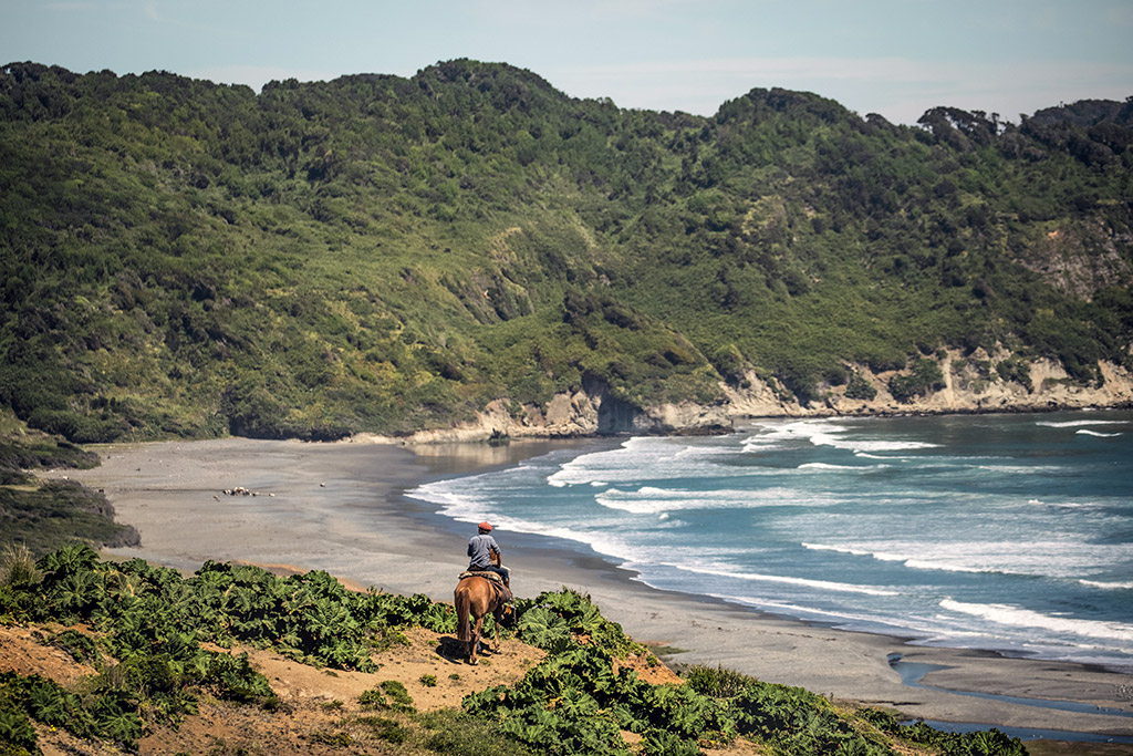 Horse Travels Patagonia Chiloe Island Chile