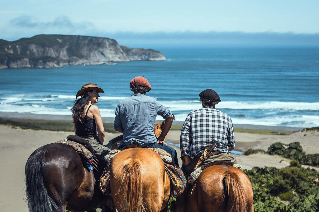 Horse Travels Patagonia Chiloe Island Chile