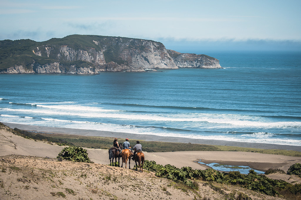 Horse Travels Patagonia Chiloe Island Chile