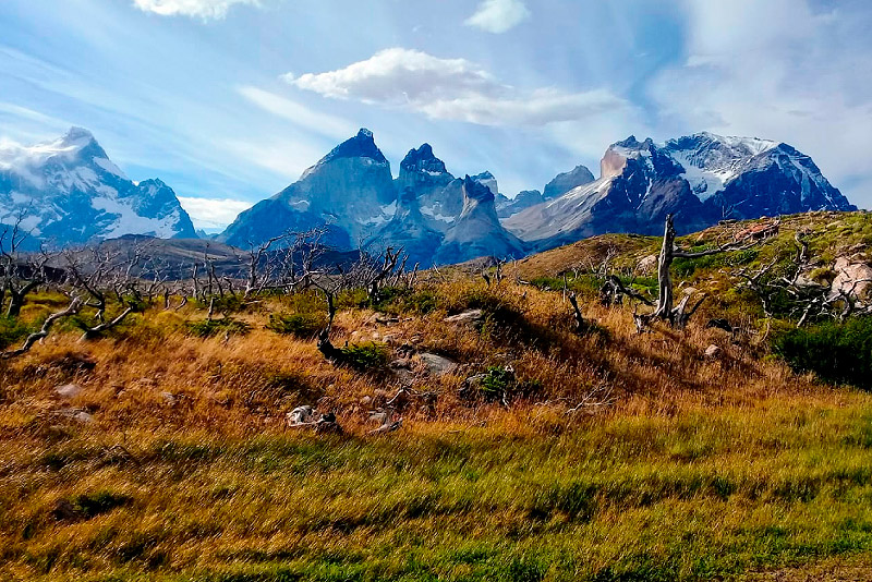 Horseback Riding In Torres Del Paine National Park