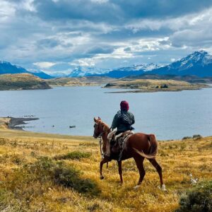 Tour Horseback Riding In Puerto Natales Chile
